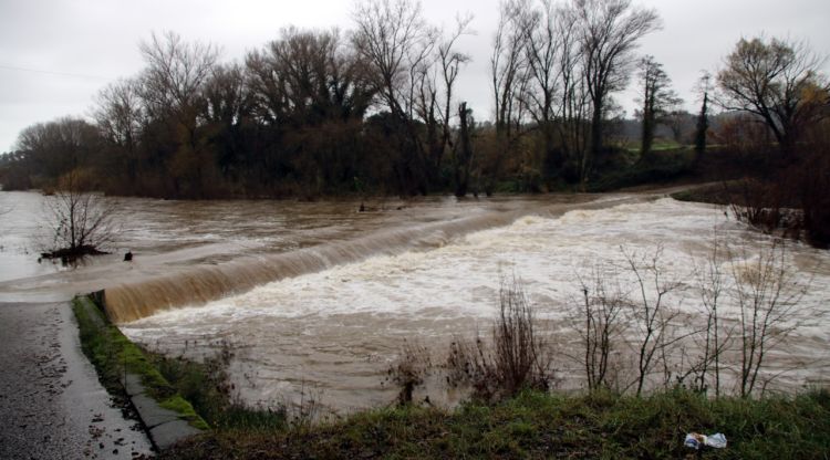 El riu Fluvià, del seu pas per Esponellà (Pla de l'Estany). ACN