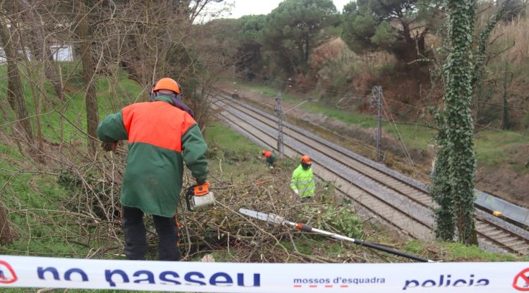 Tècnics d'Adif retires arbres que hi ha al costat de la via per evitar que caiguin a sobre. ACN