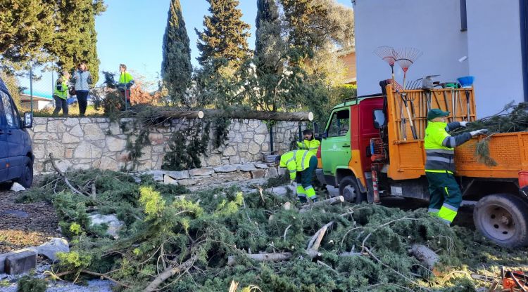 La brigada municipal serrant l'arbre caigut a la ronda de Font Roig