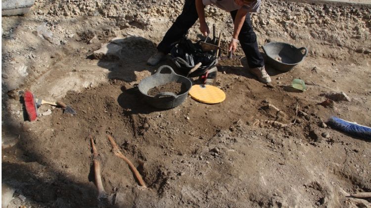 Una de les responsables de l'excavació treballant en una zona on hi ha dos fèmurs humans i una columna © ACN