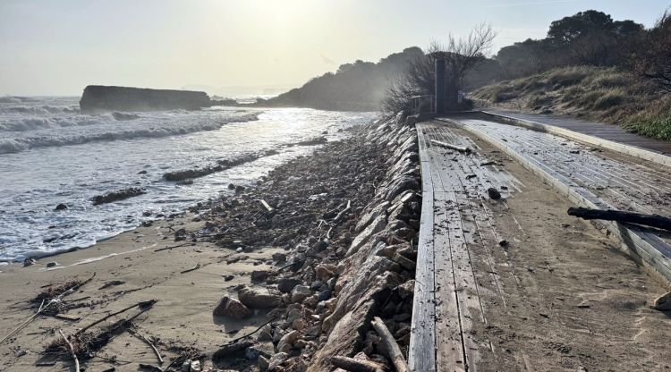 Les platges d'Empúries, pràcticament sense sorra després de la llevantada aquest dimecres al matí. ACN