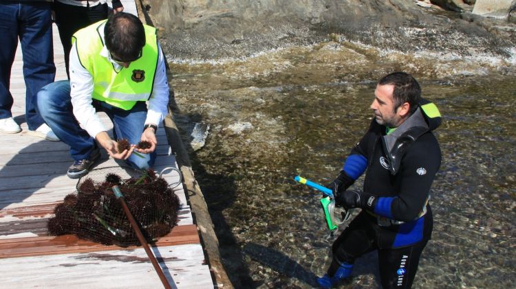 Els Mossos d'Esquadra i els inspectors de la Generalitat comprovant la llicència i la mida de les captures © ACN