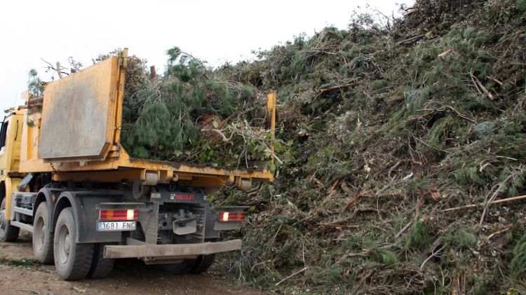 Un camió bolca les restes que ha recollit pels carrers de Calonge © ACN