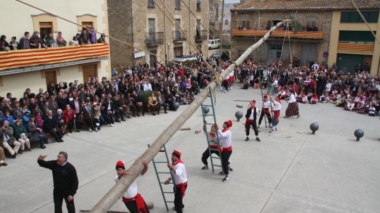 Com cada any s'ha plantat l'arbre del Maig a la plaça Major de Cornellà del Terri © ACN