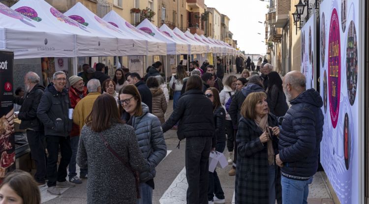 Celebració de la Fira de Micropobles a Torreserona (arxiu)