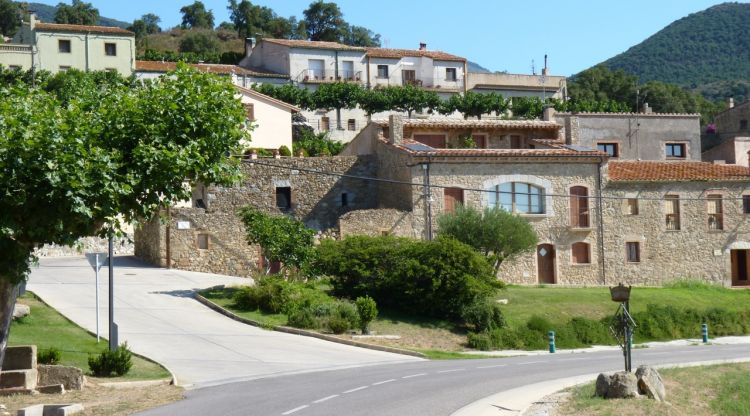 Viquipèdia