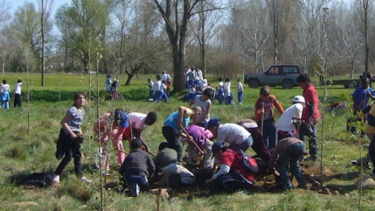 Els nens i nenes han plantat els arbres al Parc de la Devesa © AG