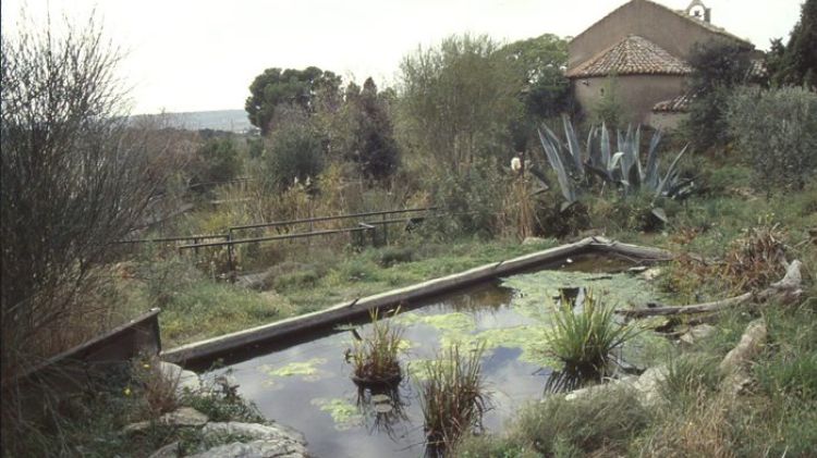 Centre de reproducció de tortugues de l'Albera © AG