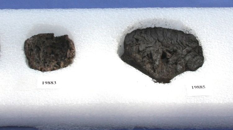 L'estudi s'ha fet amb una mostra de suro de més de 2.000 anys d'antiguitat © ACN