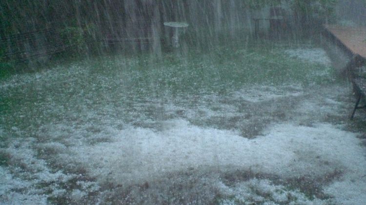 Pedregada a Les Preses (Garrotxa) amb pedres de fins a 3 cm © ACN