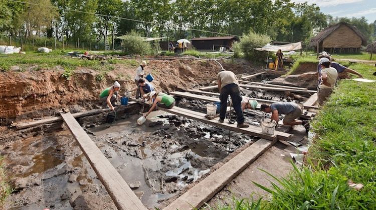Es reprenen les excavacions al jaciment neolític de la Draga de Banyoles © ACN
