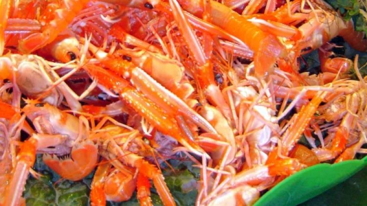 Imatge d'arxiu d'escamarlans en un mercat © ACN