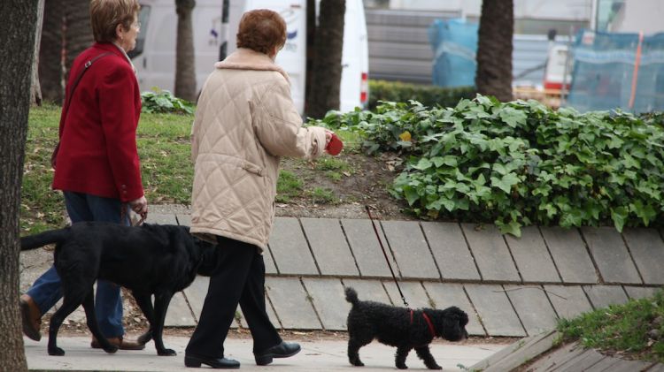 Dues senyores passejant els seus gossos a Girona