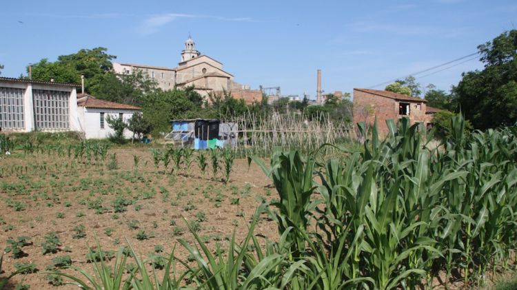 Una zona d'hortes del sector de Sota Monestir que quedarà afectat pel nou planejament urbanístic © ACN