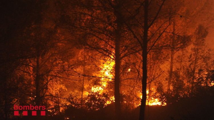 Els Bombers treballant aquesta nit a l'Empordà