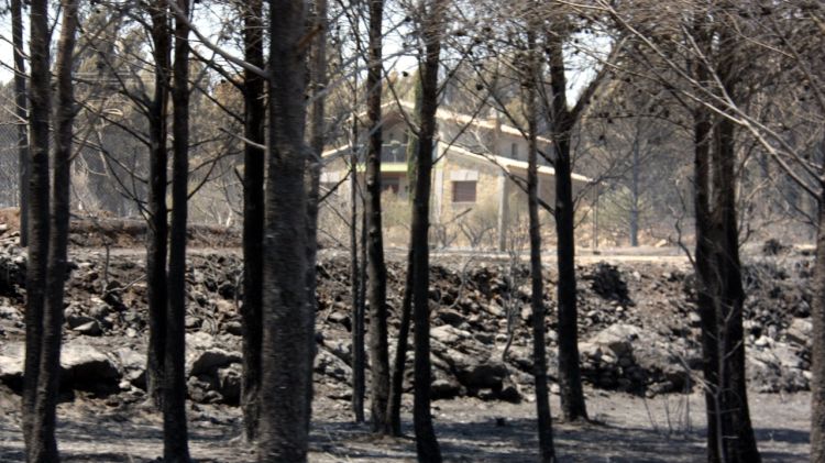 Una masia enmig del bosc cremat © ACN