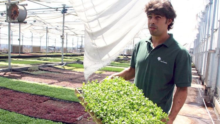 L'agricultor Aleix Dalmau aguanta una mostra dels microcultius d'enciams contaminats © ACN