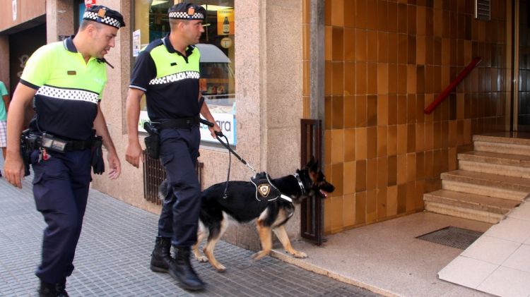 Una patrulla de la Policia Local de Salt amb la gossa 'Blanca' © ACN
