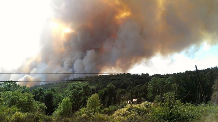 Incendi de Madremanya © Xavi Garcia