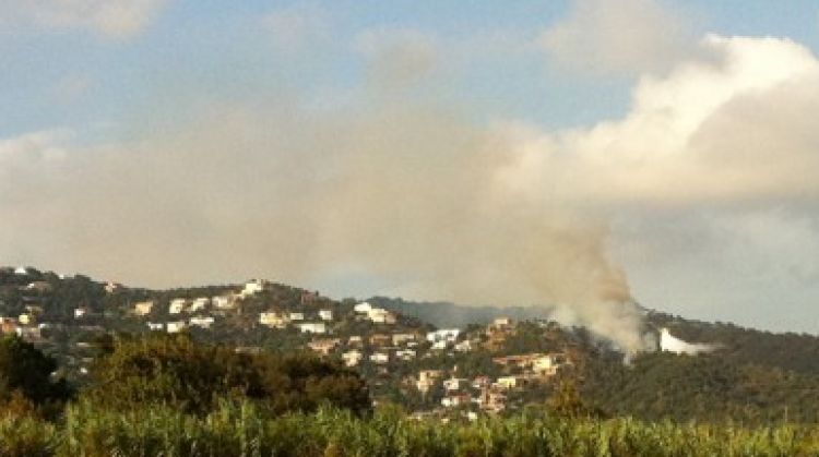 Les flames s'han apropat a la urbanització de les Teules © Judit Arroyo