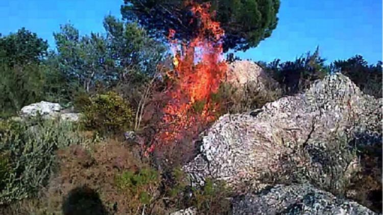 Imatges que els mateixos joves van fer mentre provocaven els focs