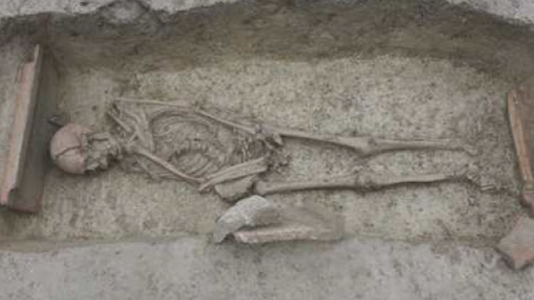 Un dels esquelets descoberts durant els treballs d'excavació © ACN