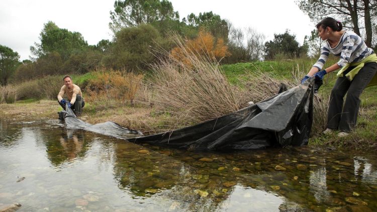 Diversos voluntaris retirant una tela que es trobava al marge del riu Daró © ACN