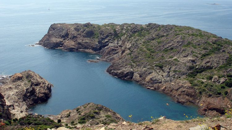 El bacteri s'ha detectat en importants quantitats prop de la reserva natural de Cap de Creus