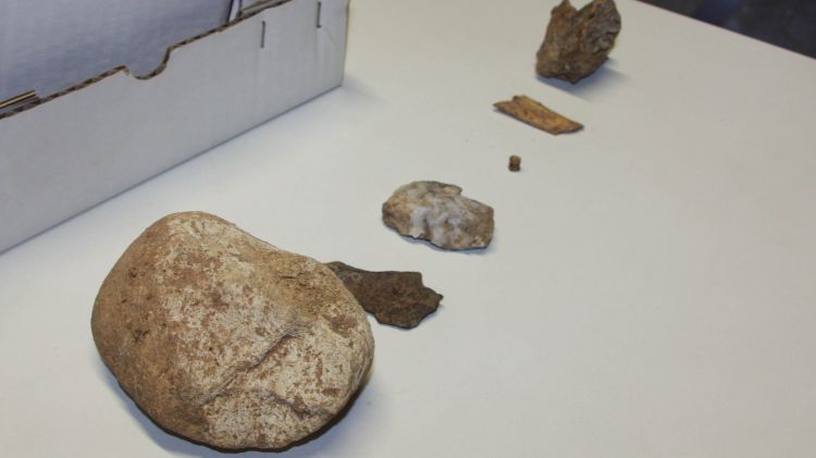Restes que s'han trobat a la cova de l'Arbreda de Serinyà © ACN