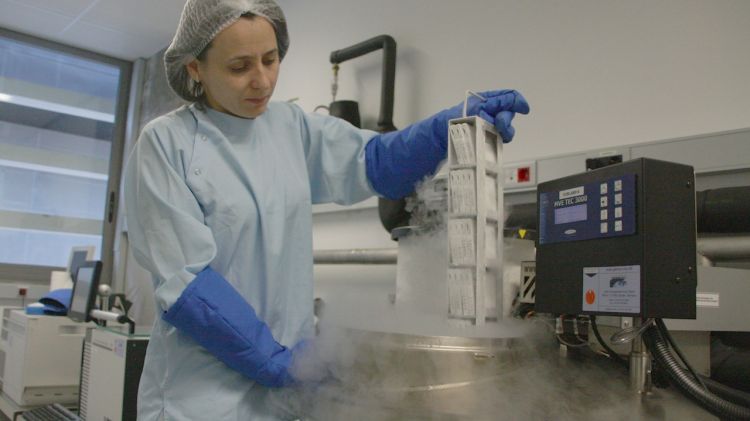 Una de les treballadores del laboratori © ACN