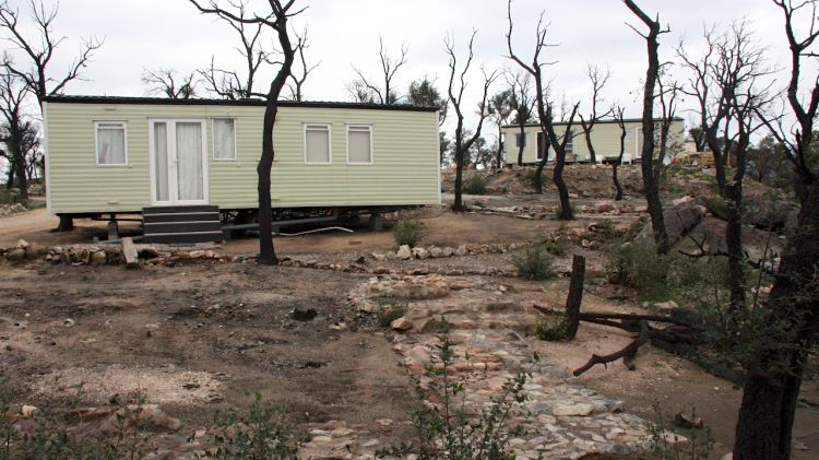 El càmping Les Pedres de Capmany sis mesos després del foc © ACN