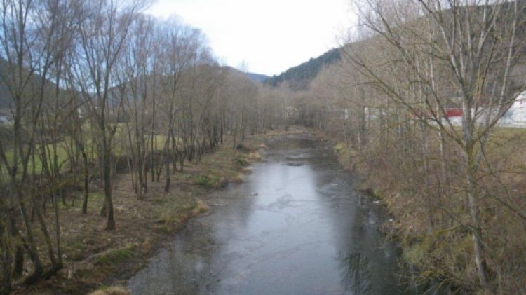 Els treballs de millora d'un tram de la llera del riu Ter al terme municipal de Ripoll © ACN