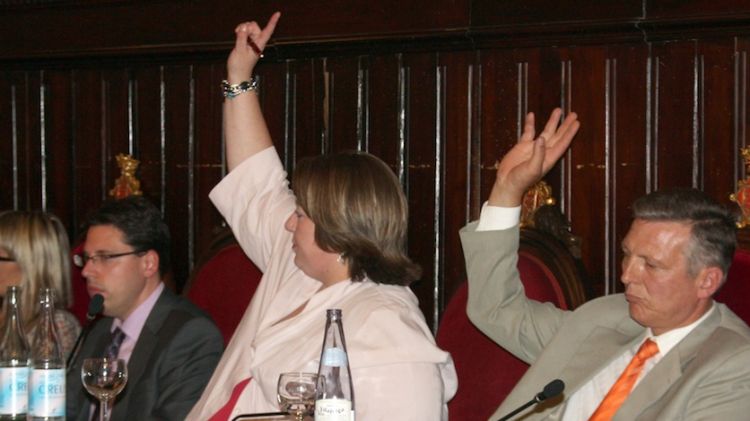 Els dos regidors del PP s'han quedat sols aixecant la mà en el moment de la votació a favor de la moció © ACN