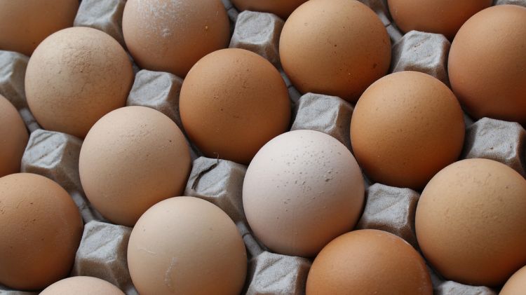 Volen que cedeixin els ous als més necessitats © Flickr "pietroizzo"