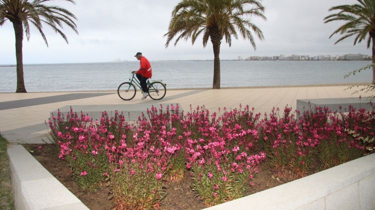 Els parterres del passeig Marítim és una de les zones on s'hi ha treballat