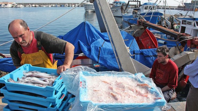 Barques arribant a port a Palamós després de capturar gamba (arxiu)