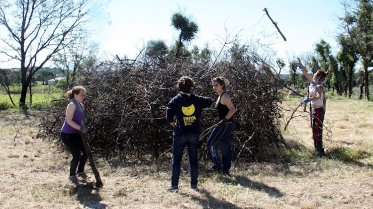 La fusta cremada serà utilitzada per fer foc o la reciclaran com a compost © ACN