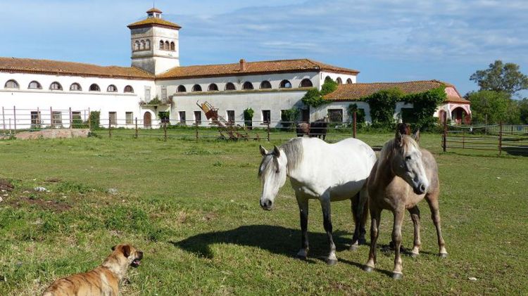 La finca coneguda com a Torre d'en Mornau es troba en ple parc natural dels Aiguamolls de l'Empordà