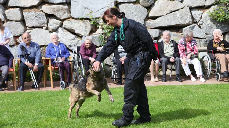 L'agent Montse Cereza, fent una demostració de l'ensinistrament dels gossos © ACN