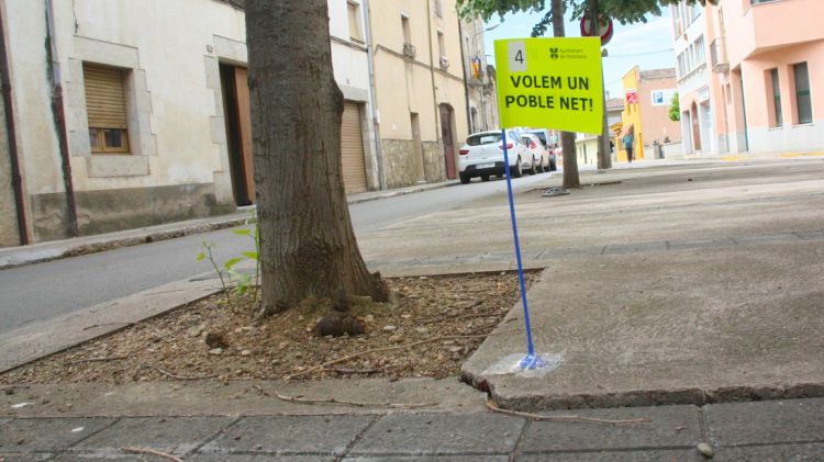 A final de setmana, al poble hi haurà més de seixanta banderetes clavades al costat de defecacions © ACN