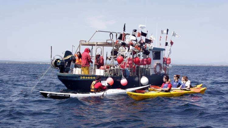 L'activitat Pesca Turisme també inclou la possibilitat de fer observacions de la pesca en caiac © ACN