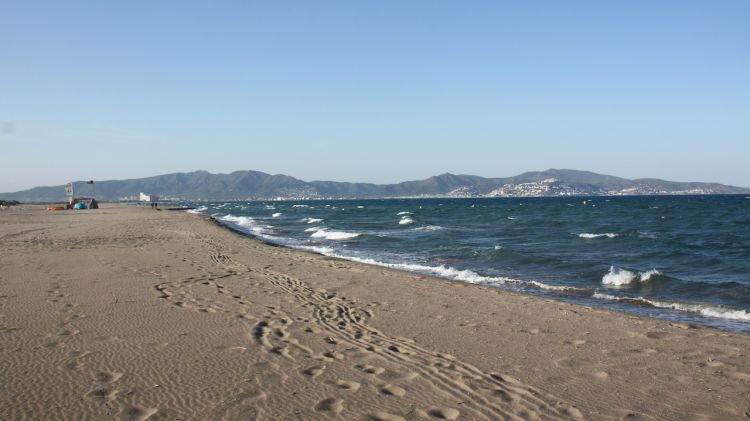 El lloc de la platja on han succeït els fets © ACN