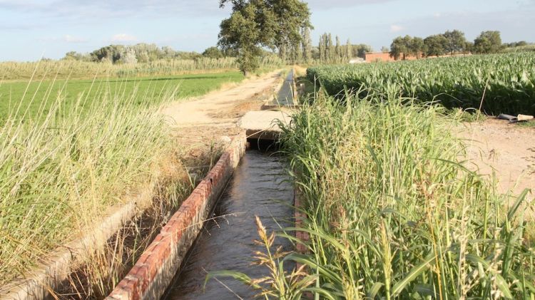 El pont del canal de reg de Cabanes (Alt Empordà) on va quedar atrapat el cos de la dona morta ahir © ACN