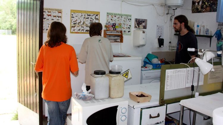 Interior del Centre de Fauna dels Aiguamolls de l'Empordà (arxiu)