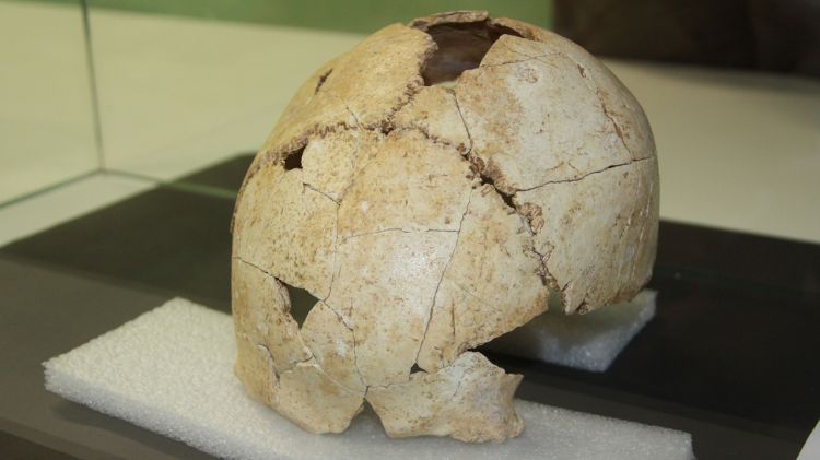 El crani es troba al Museu Arqueològic Comarcal de Banyoles © ACN