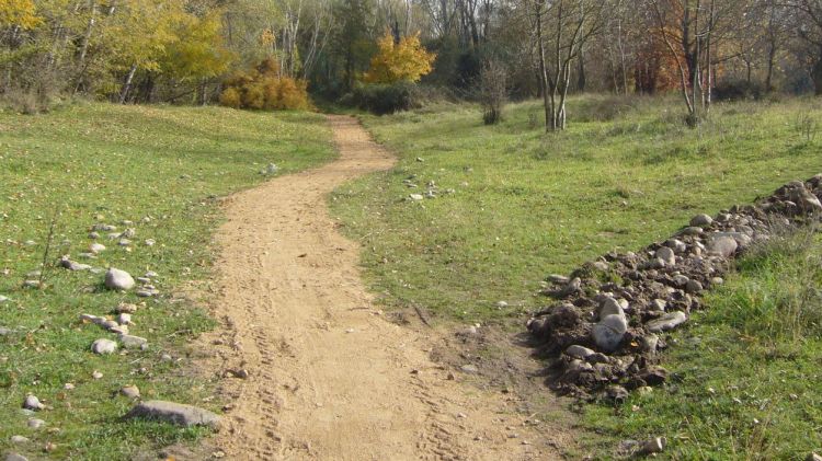 Paratge del Camp de l'Illa siutat dins el Parc de les Deveses © AraGirona.cat