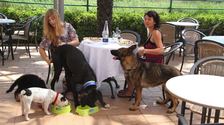 Les famílies poden alimentar també la seva mascota amb un menú específic