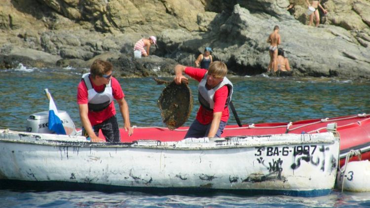 Voluntaris participant en la neteja del fons marí de la platja de la Farella de Llançà