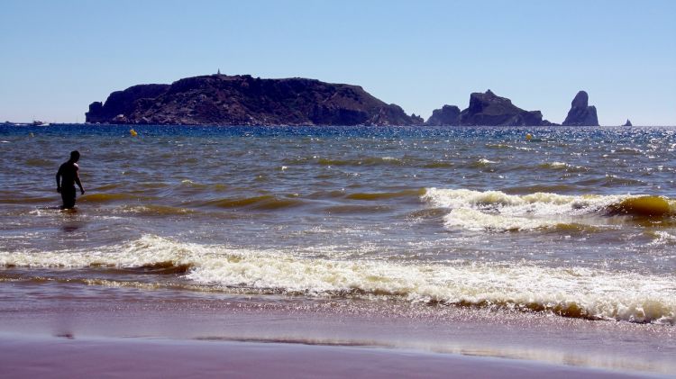 Les taques de mucílags ocupen la primera línia de la costa i enterboleixen l'aigua de la platja de l'Estartit © ACN