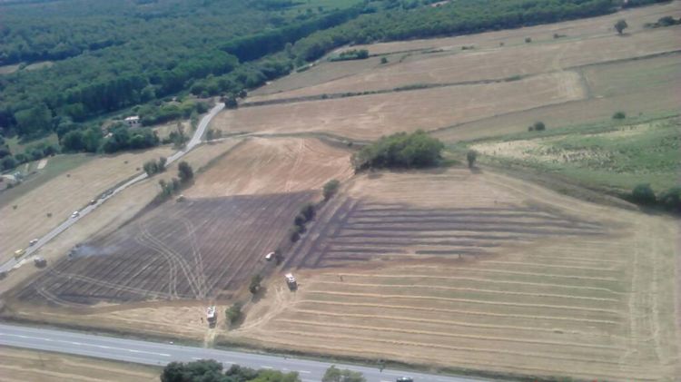 El foc ha cremat un camp de rostolls dins del terme municipal de Vilademuls © ACN